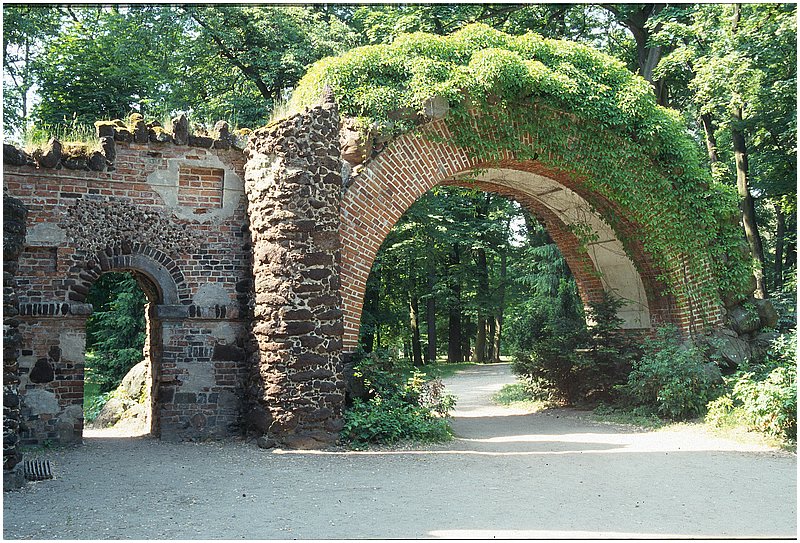 crop0092.jpg