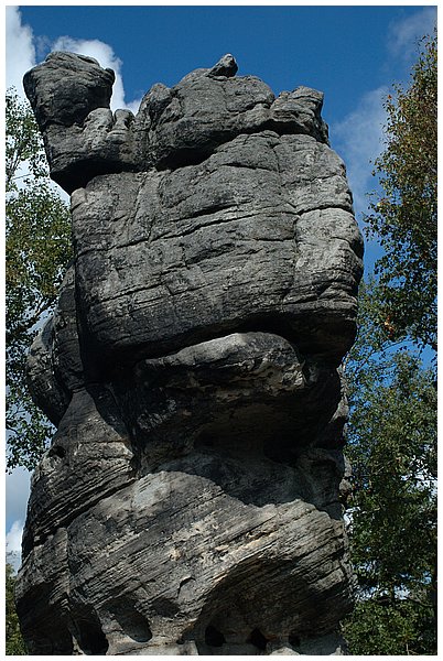 a108_Wielblad.jpg