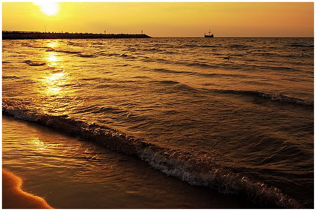 DSC_0021a.jpg