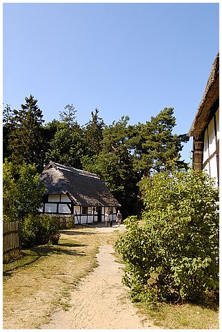 DSC_0047.jpg