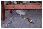 DSC_0105.jpg