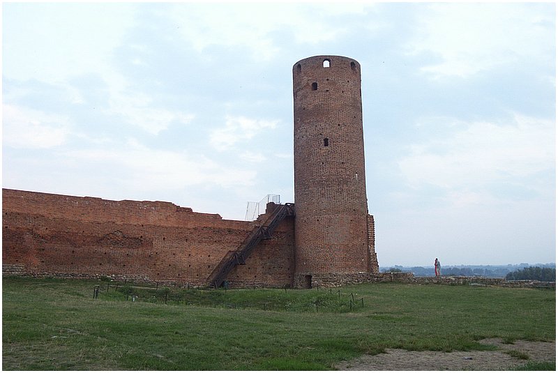 CDPC 005.jpg