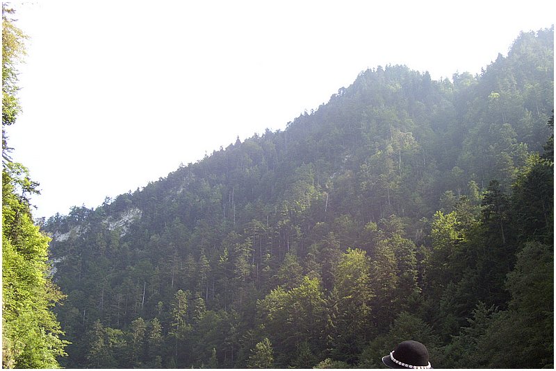 DDCP 088.jpg