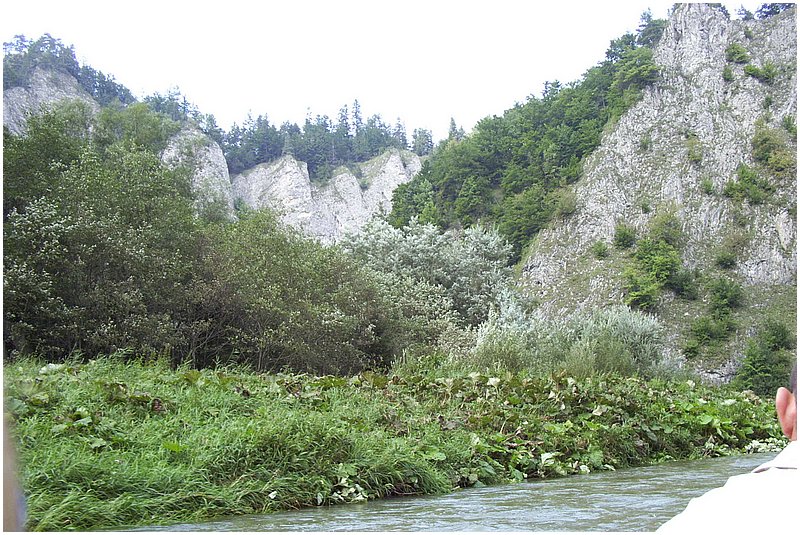DDCP 090.jpg