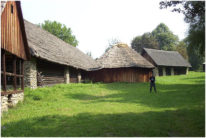 DDCP 099.jpg