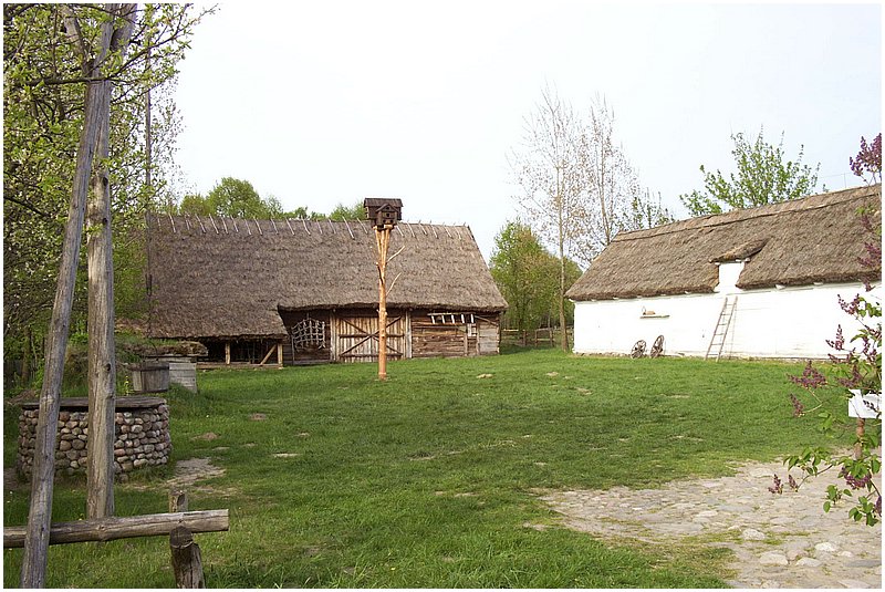 DCP_0097.jpg