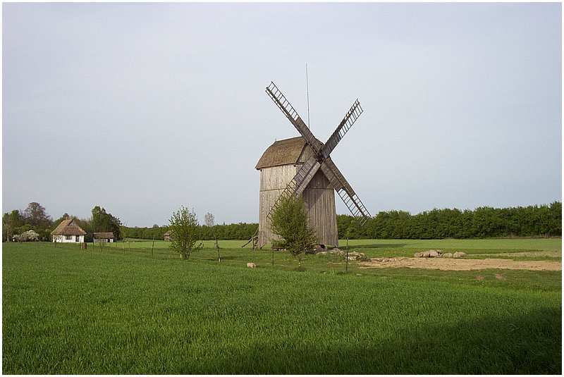 DCP_0106.jpg