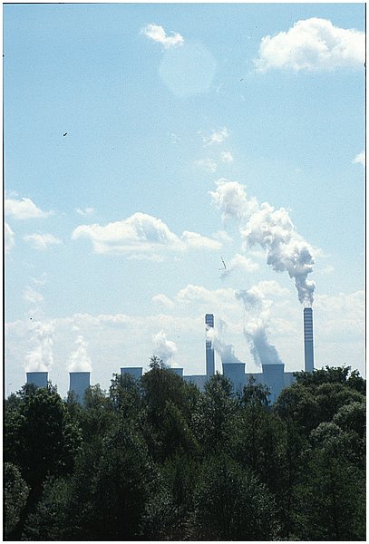 crop0004.jpg