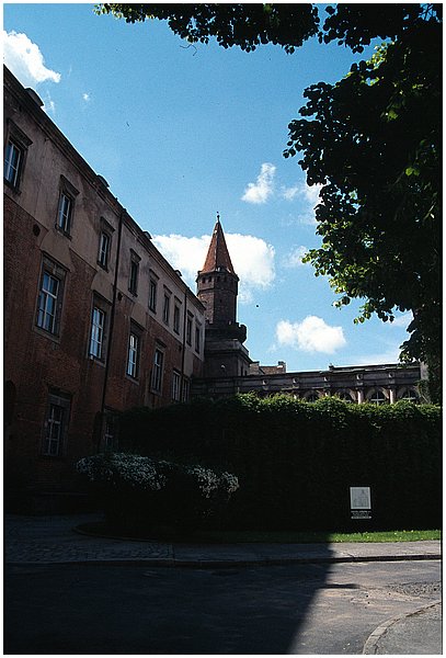 crop0010.jpg