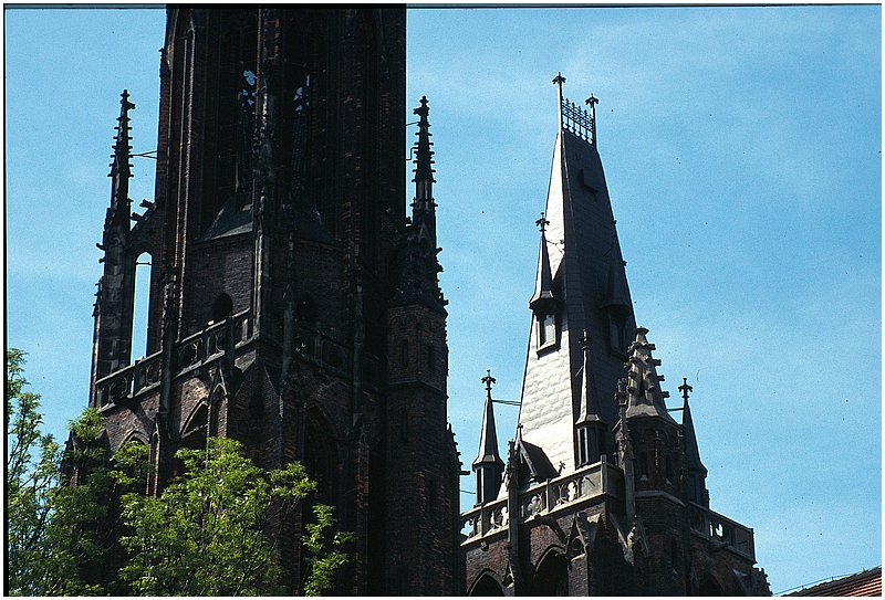 crop0013.jpg