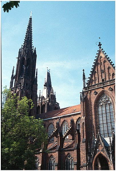 crop0014.jpg