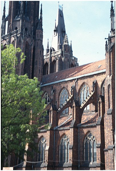 crop0017.jpg