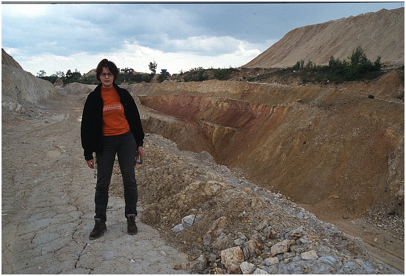 crop0031.jpg