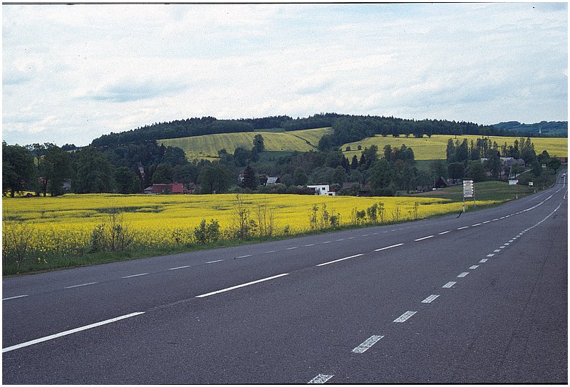 crop0040.jpg