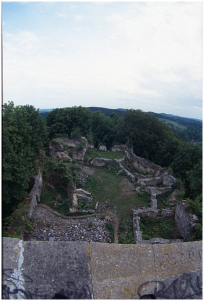 crop0061.jpg