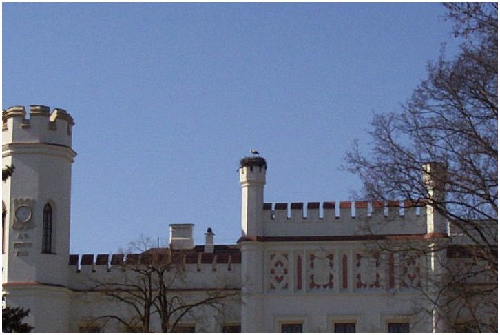 DCP_0017.jpg