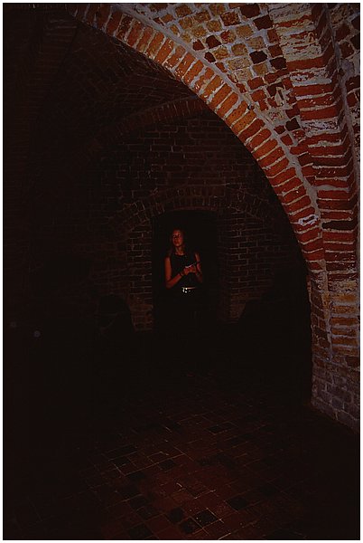 Kwidzyn_zamek8.jpg