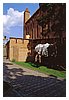 Gniew5.jpg