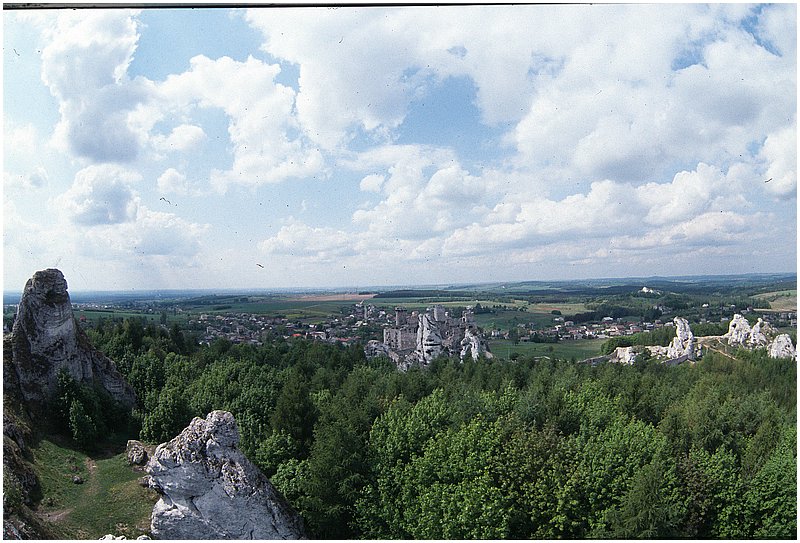 crop0002.jpg