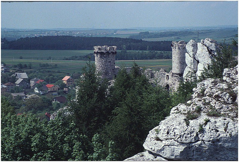 crop0005.jpg