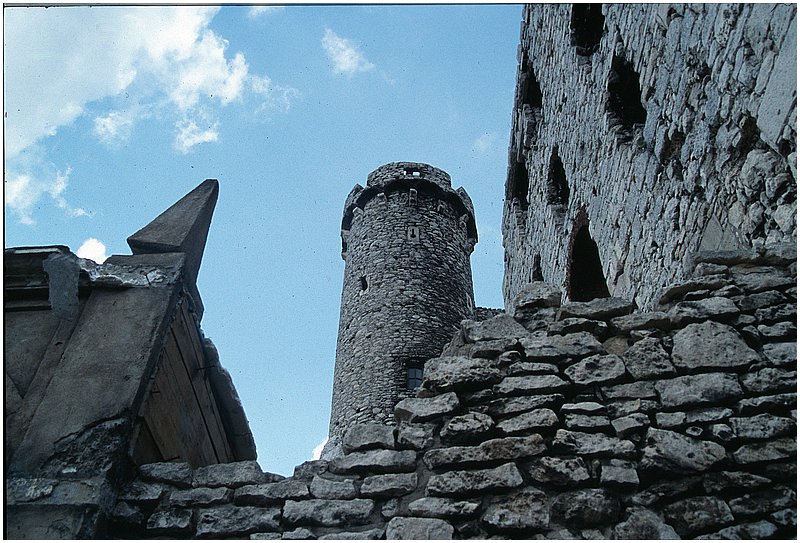crop0015.jpg