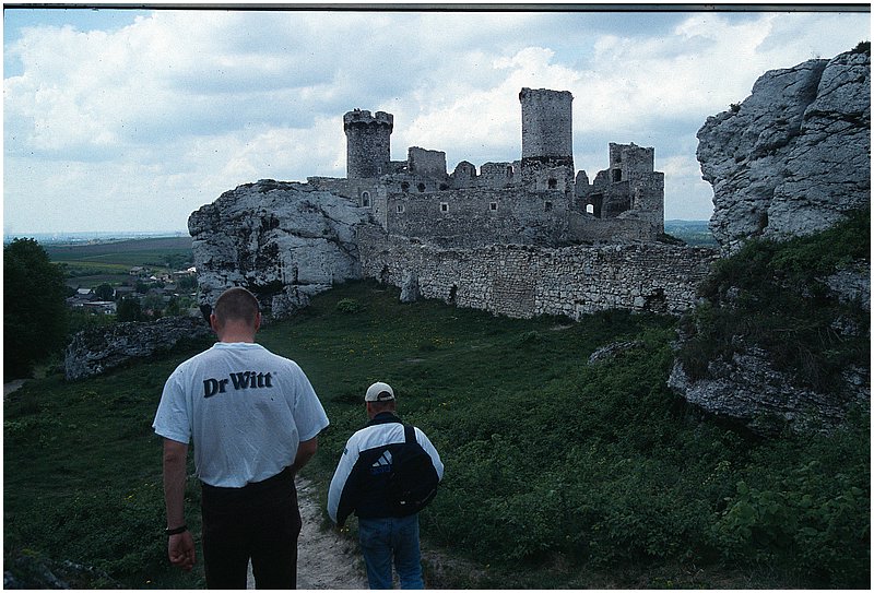 crop0020.jpg