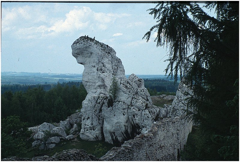 crop0025.jpg